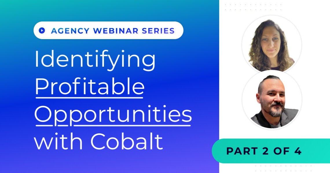 Identifying Profitable Opportunities with Cobalt: Targeting New Brands