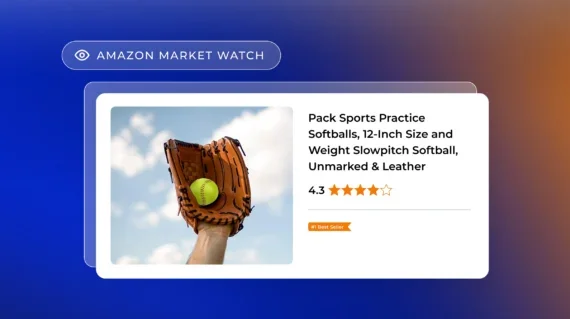 Amazon Market Data for Team Sports Products